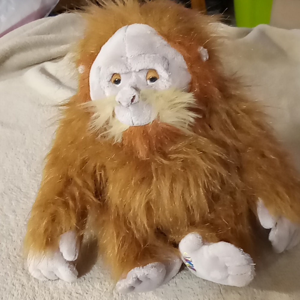 🌺Orangutan webkinz